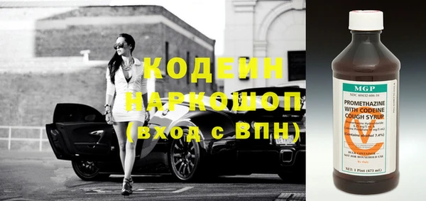 амф Верхний Тагил