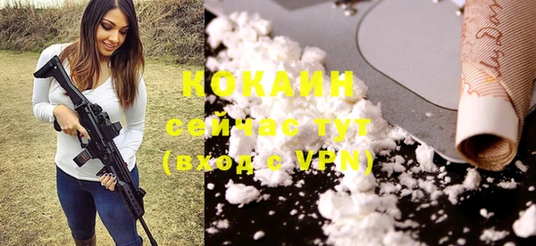 твердый Верея