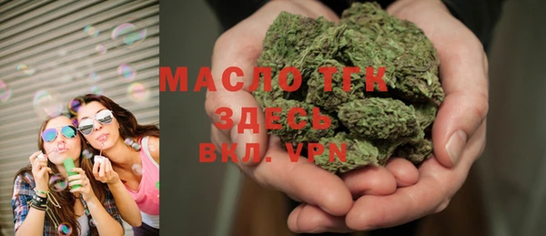 амф Верхний Тагил
