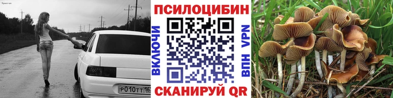 цены наркотик Кизилюрт Псилоцибиновые грибы Cubensis